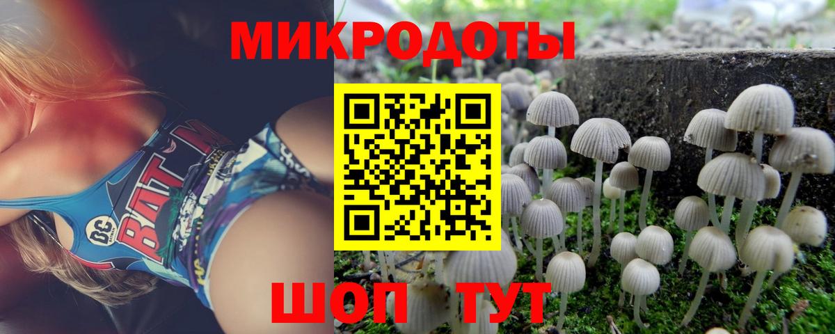 Галлюциногенные грибы прущие грибы  Вход с VPN  Красный Сулин 